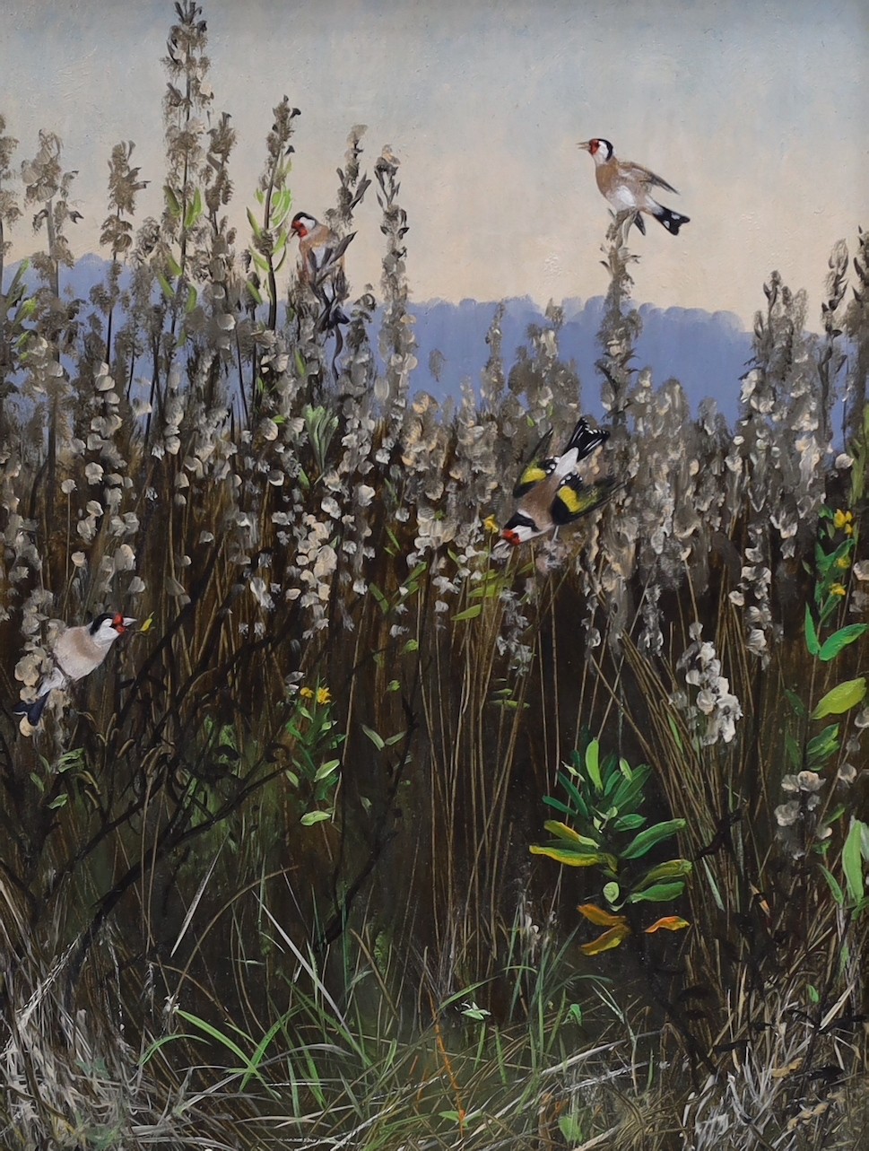 Anderson, oil on board Goldfinches, signed, 25 x 90cm